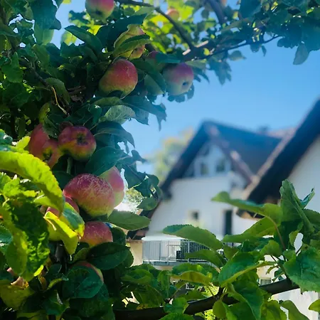 Meeresrauschen Nocleg ze śniadaniem Lobbe