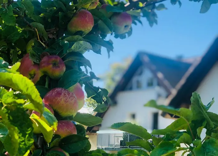 Meeresrauschen Отель типа 